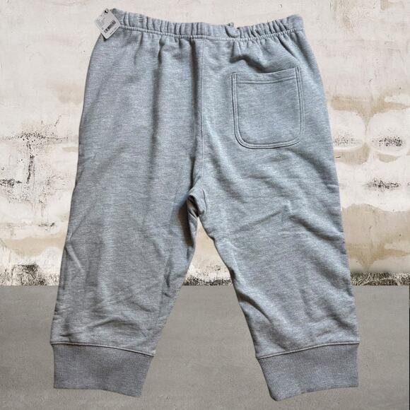 FREE PEOPLE NWT Best Of Cropped Gray Joggers Size Medium - Picture 5 of 8